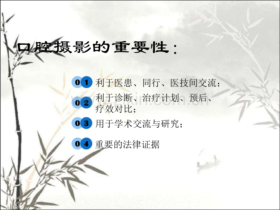 口腔摄影入门PPT.ppt_第2页