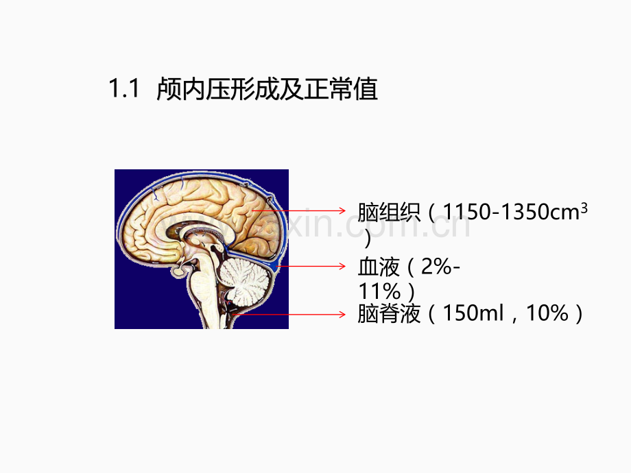 颅内压增高和脑疝.ppt_第2页