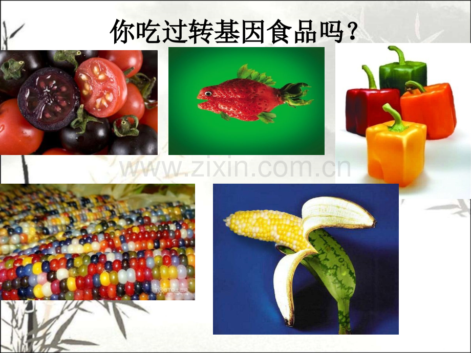 转基因食品的安全性评价ppt.ppt_第2页