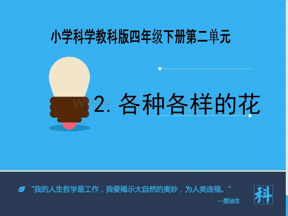 《各种各样的花》课件.ppt_第1页