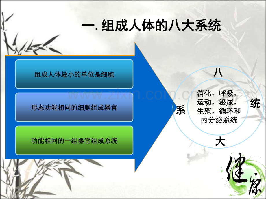 中老年常见疾病知识ppt.ppt_第3页