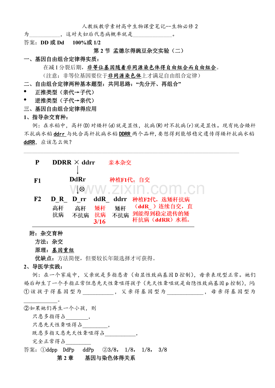 人教版教学素材高中生物课堂笔记--生物必修2.doc_第3页