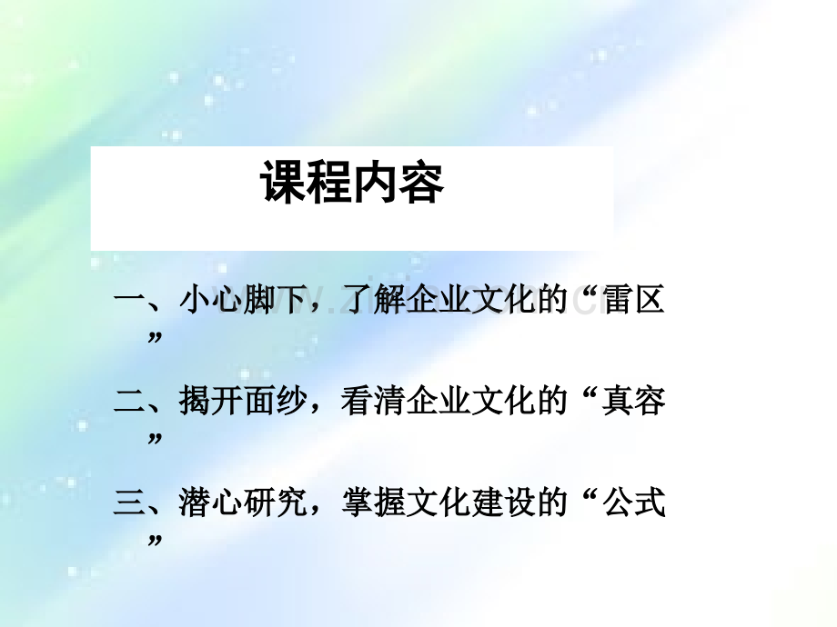 正确解读企业文化ppt.ppt_第2页