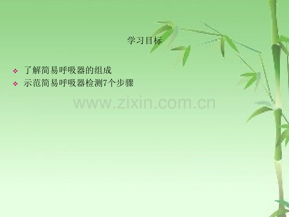 简易呼吸器检测ppt.ppt_第2页