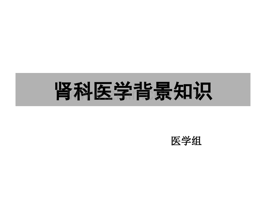 肾脏的解剖和生理学知识ppt课件.ppt_第1页