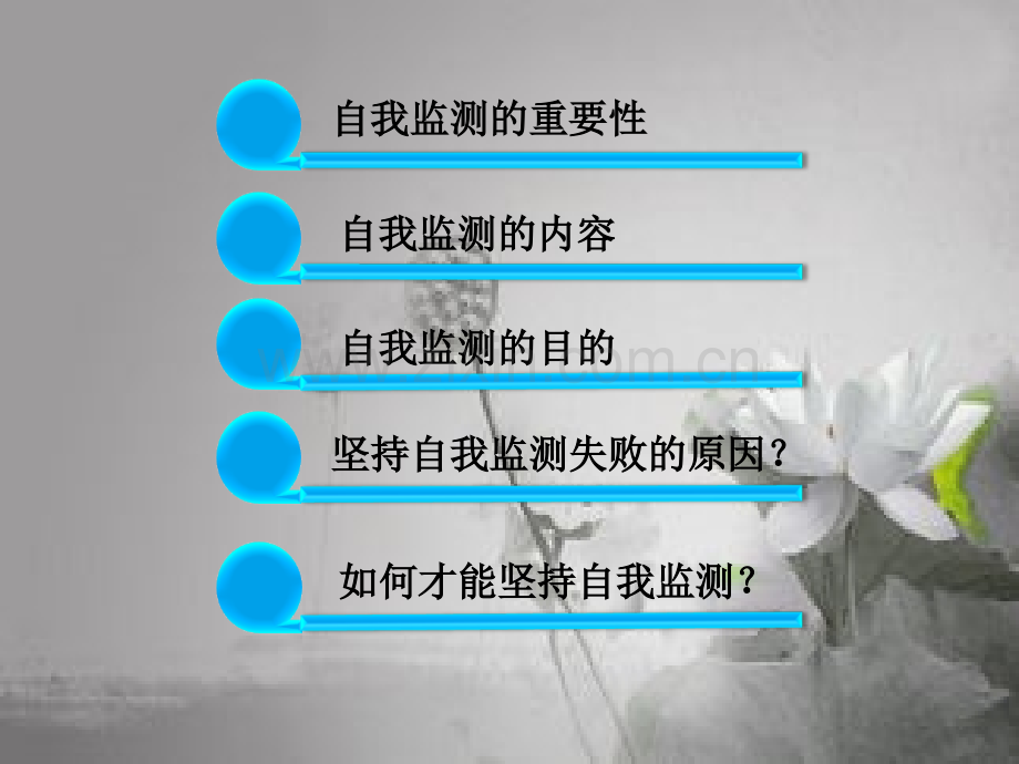 糖尿病患者自我监测ppt.ppt_第2页