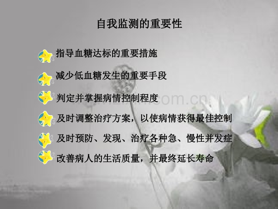 糖尿病患者自我监测ppt.ppt_第3页