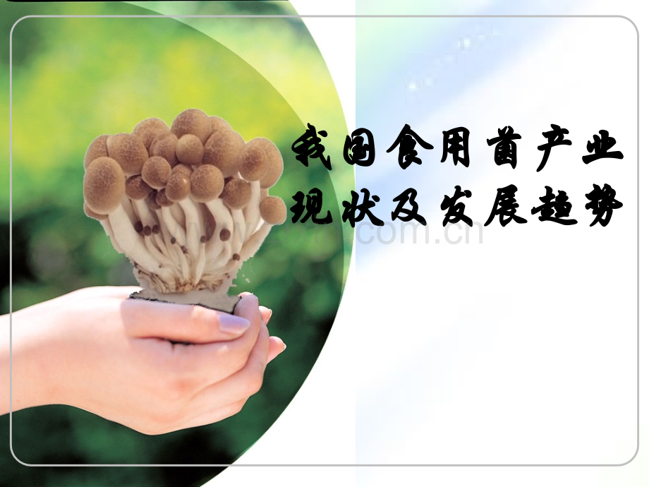 食用菌产业现状及发展趋势-PPT.ppt_第1页