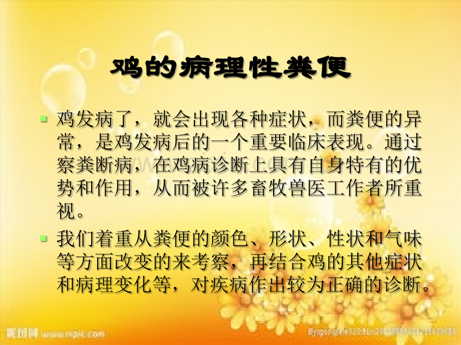 察鸡粪辨鸡病.ppt_第3页