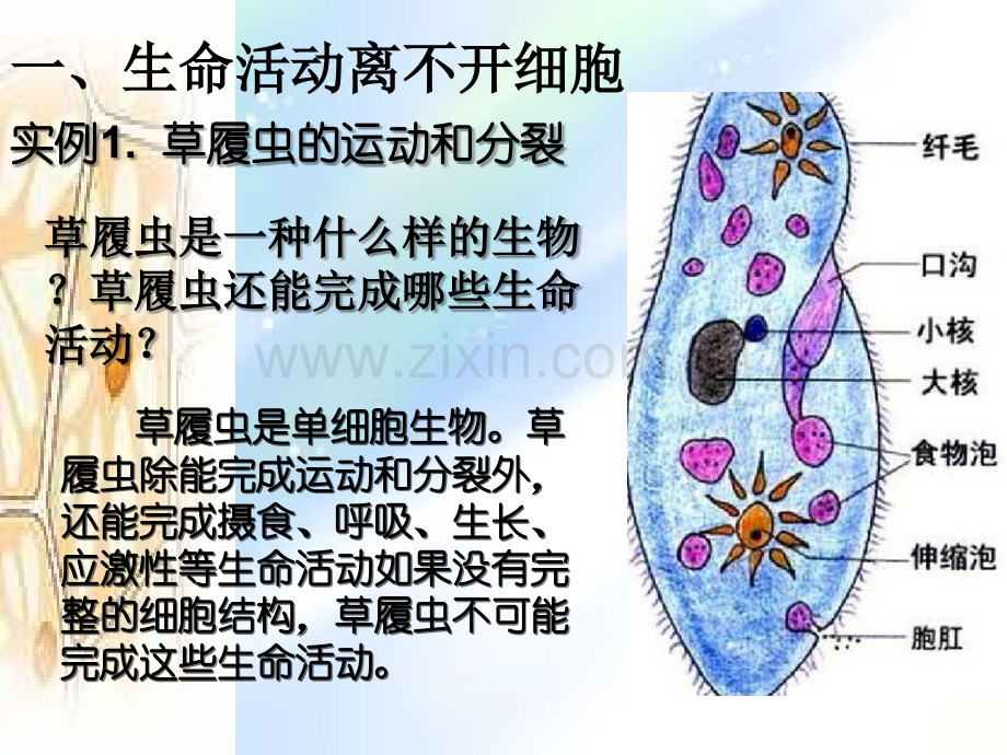 从生物圈到细胞讲解-PPT.ppt_第3页