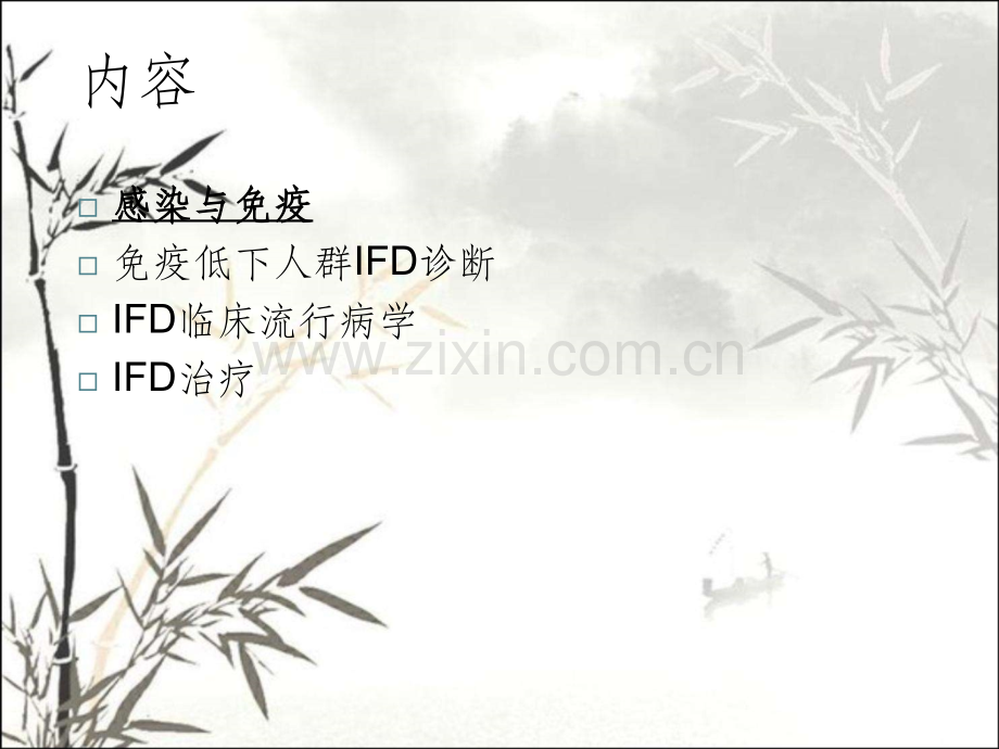 IFI诊断与治疗的理解ppt.ppt_第2页