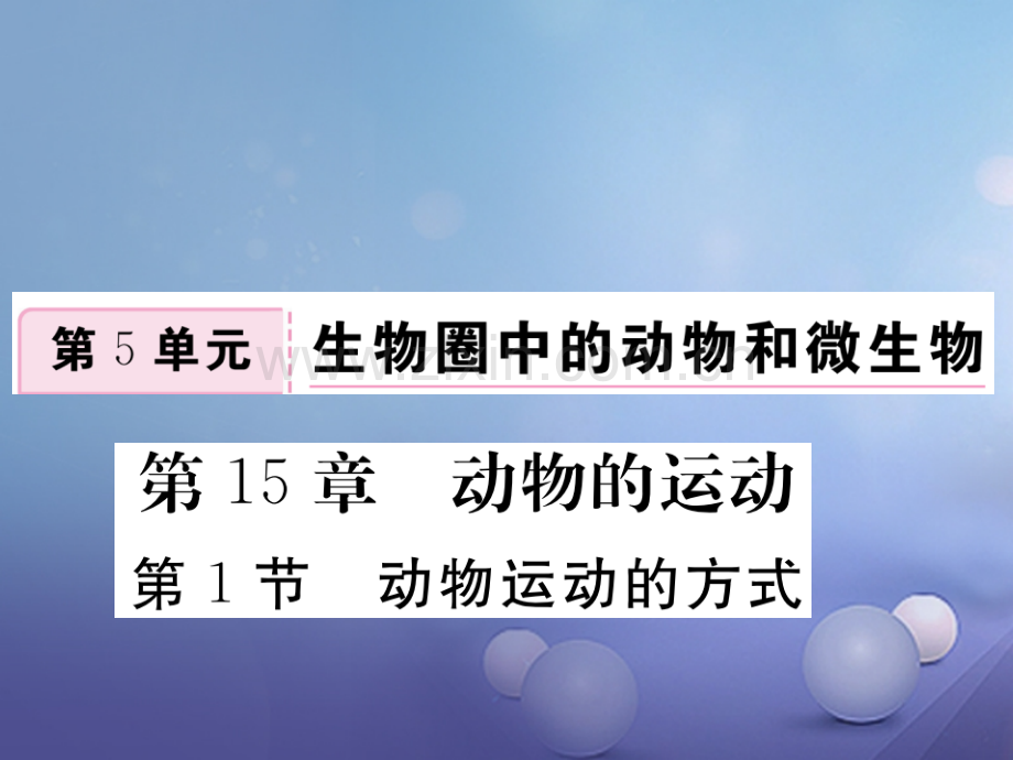 2017年秋八年级生物上册-5.15.1-动物运动的方式优质北师大版.ppt_第1页