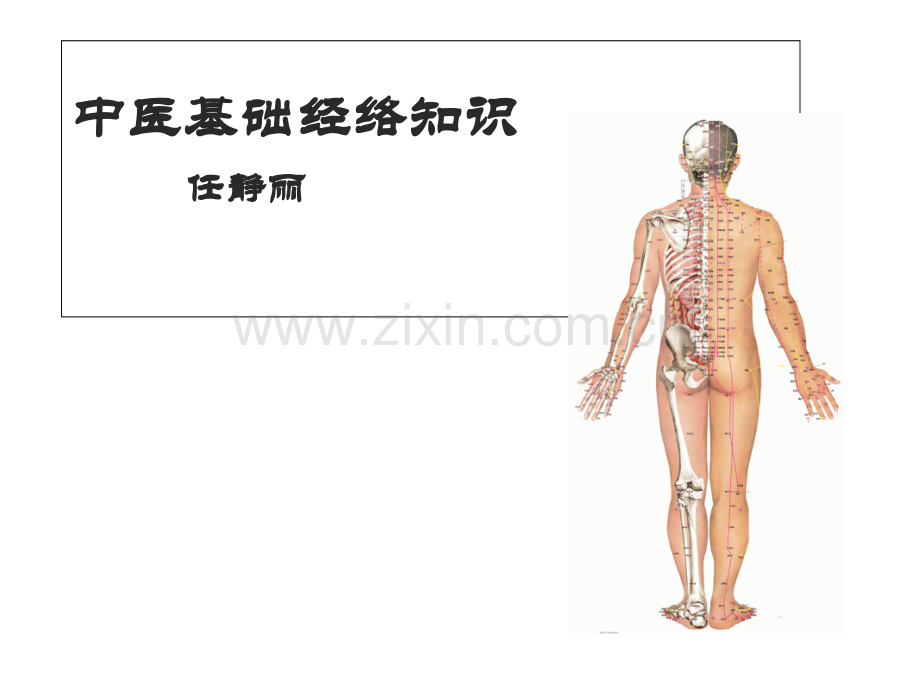 中医基础经络知识(26页).ppt_第1页