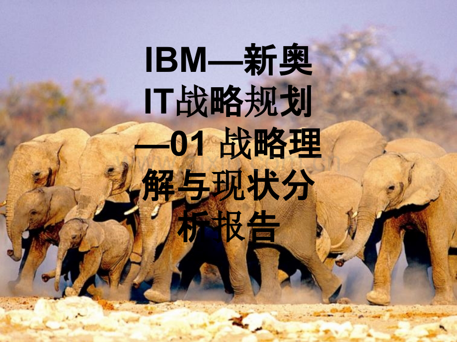 IBM—新奥IT战略规划—01-战略理解与现状分析报告-109.ppt_第1页