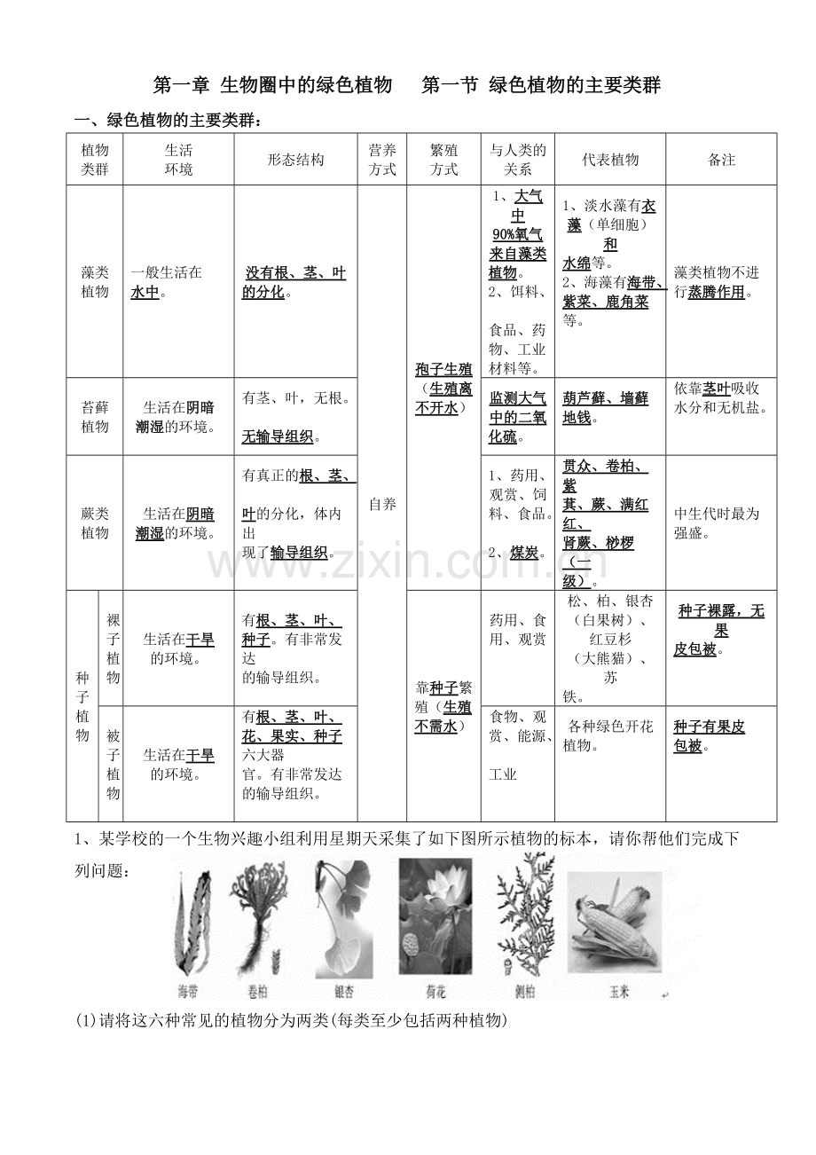 生物圈中的绿色植物复习知识点.pdf_第1页