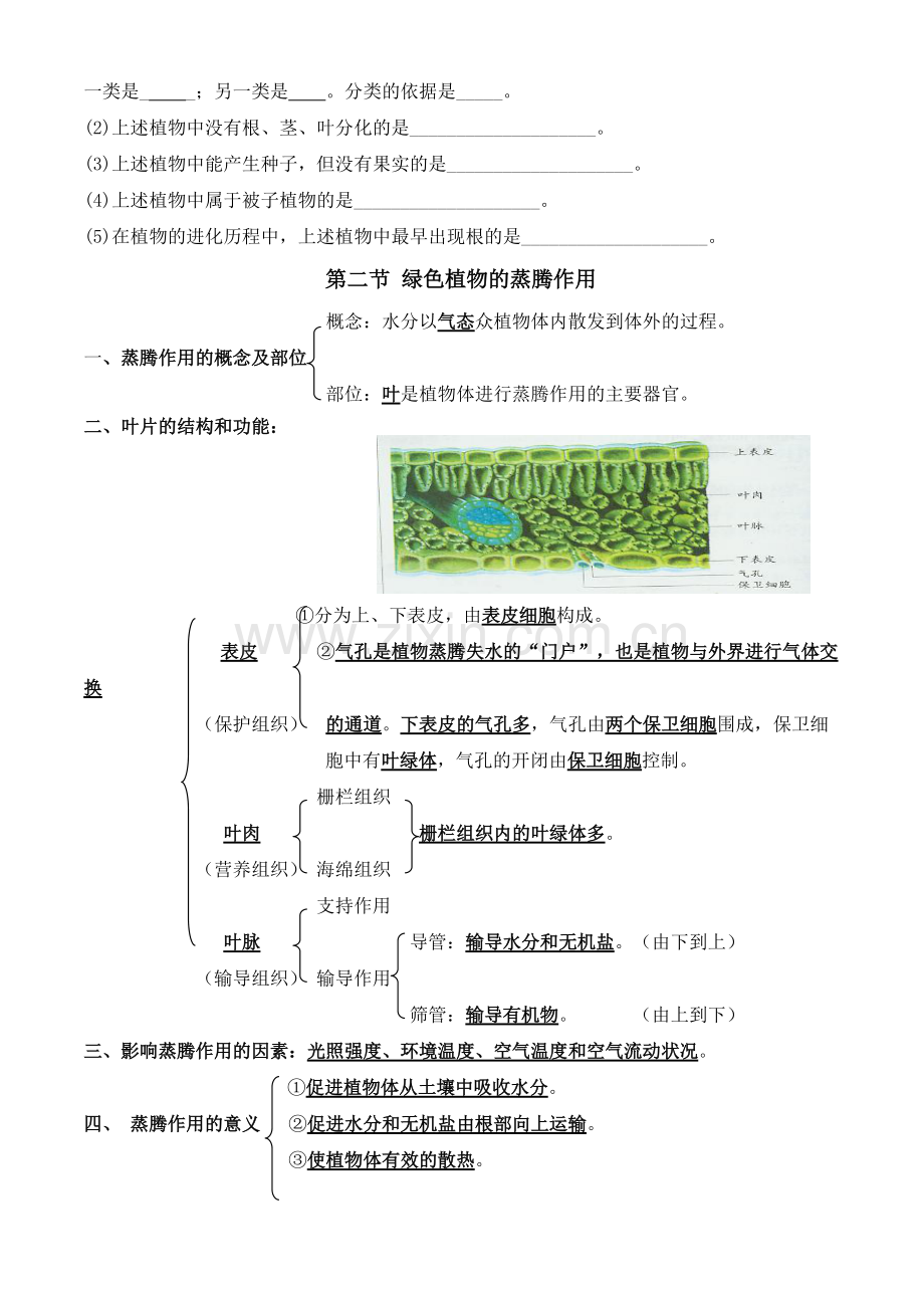 生物圈中的绿色植物复习知识点.pdf_第2页