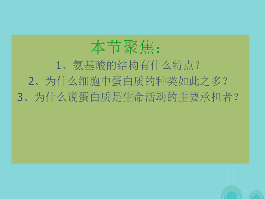 甘肃省天水市高中生物-2.2-生命活动的主要承担者(2)新人教版必修1.ppt_第2页