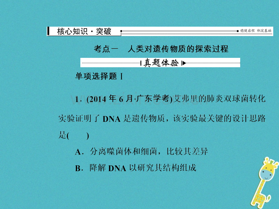 2016-2017学年中考生物专题总复习-专题七-遗传的分子基础.ppt_第3页