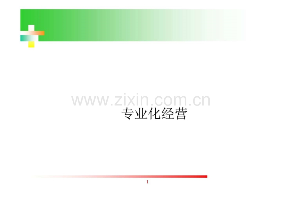 专业化经营.ppt_第1页