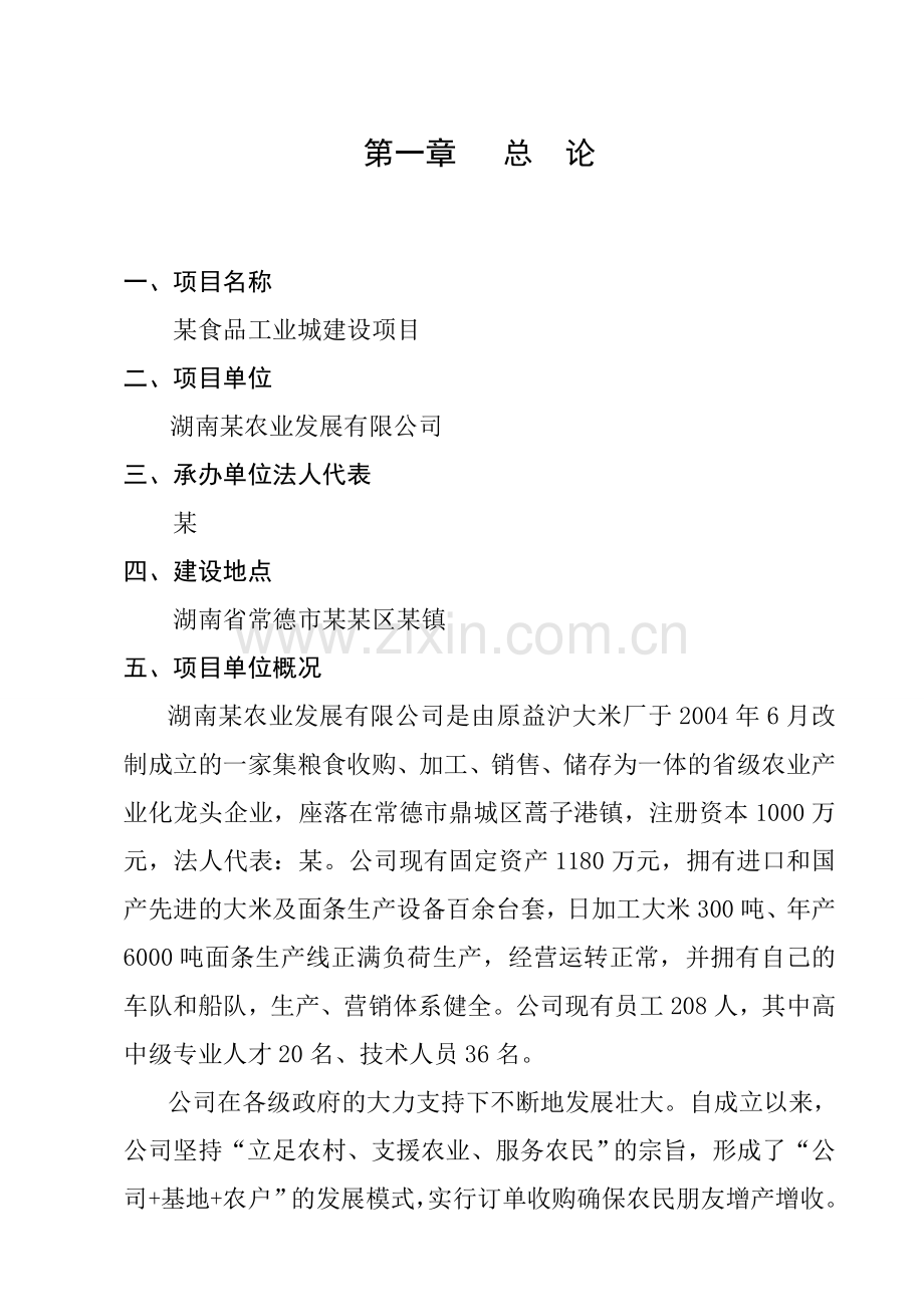 某食品工业城建设项目可行性研究报告(大米、面条生产项目可行性研究报告)优秀报告word版本.doc_第1页