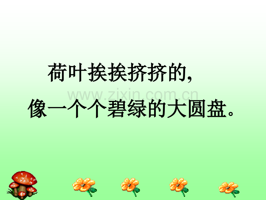 荷花6(1).ppt_第3页