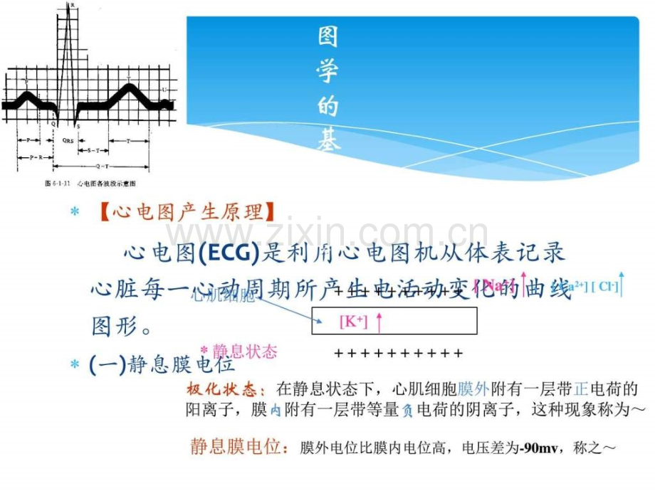 临床心电图学基本知识.ppt_第2页