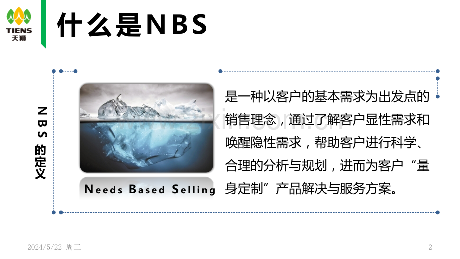 nbs-基于需求的专业化销售技巧.pptx_第2页