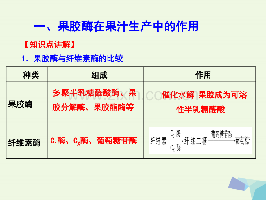 高中生物-专题4-酶的研究与应用复习-新人教版选修1.ppt_第2页