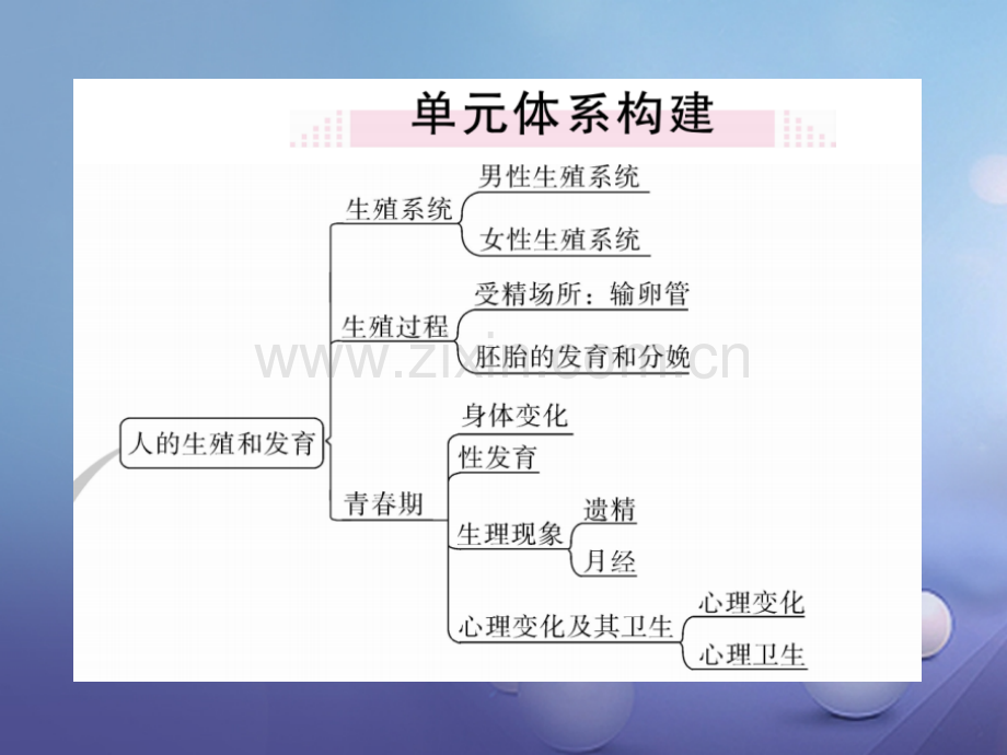 2017年秋八年级生物上册-第6单元-第19章-生物的生殖和发育小结与复习优质北师大版.ppt_第2页