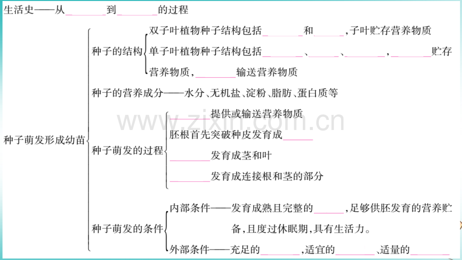 2018秋七年级生物上册-第3单元-第6、7章知识归纳习题优质北师大版.ppt_第2页