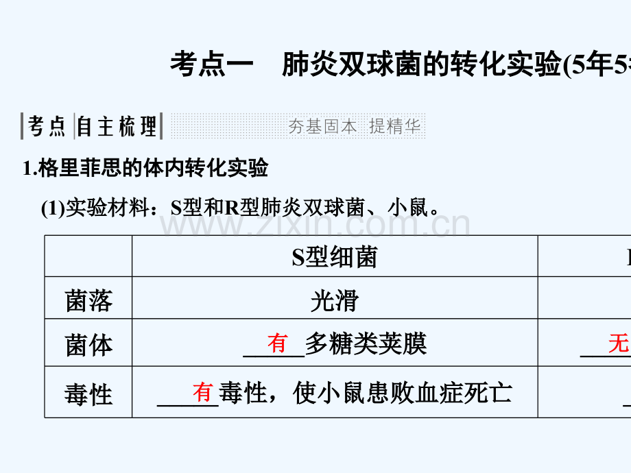 2018届高考生物一轮复习-第六单元-遗传的分子基础-第17讲-人类对遗传物质的探索过程.ppt_第2页