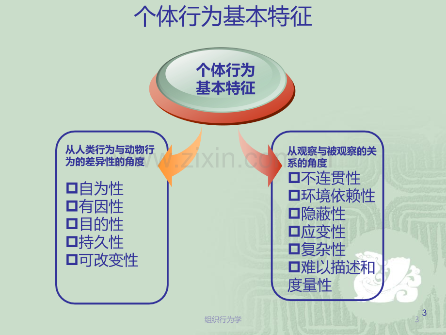 第2讲：个体行为基础.ppt_第3页