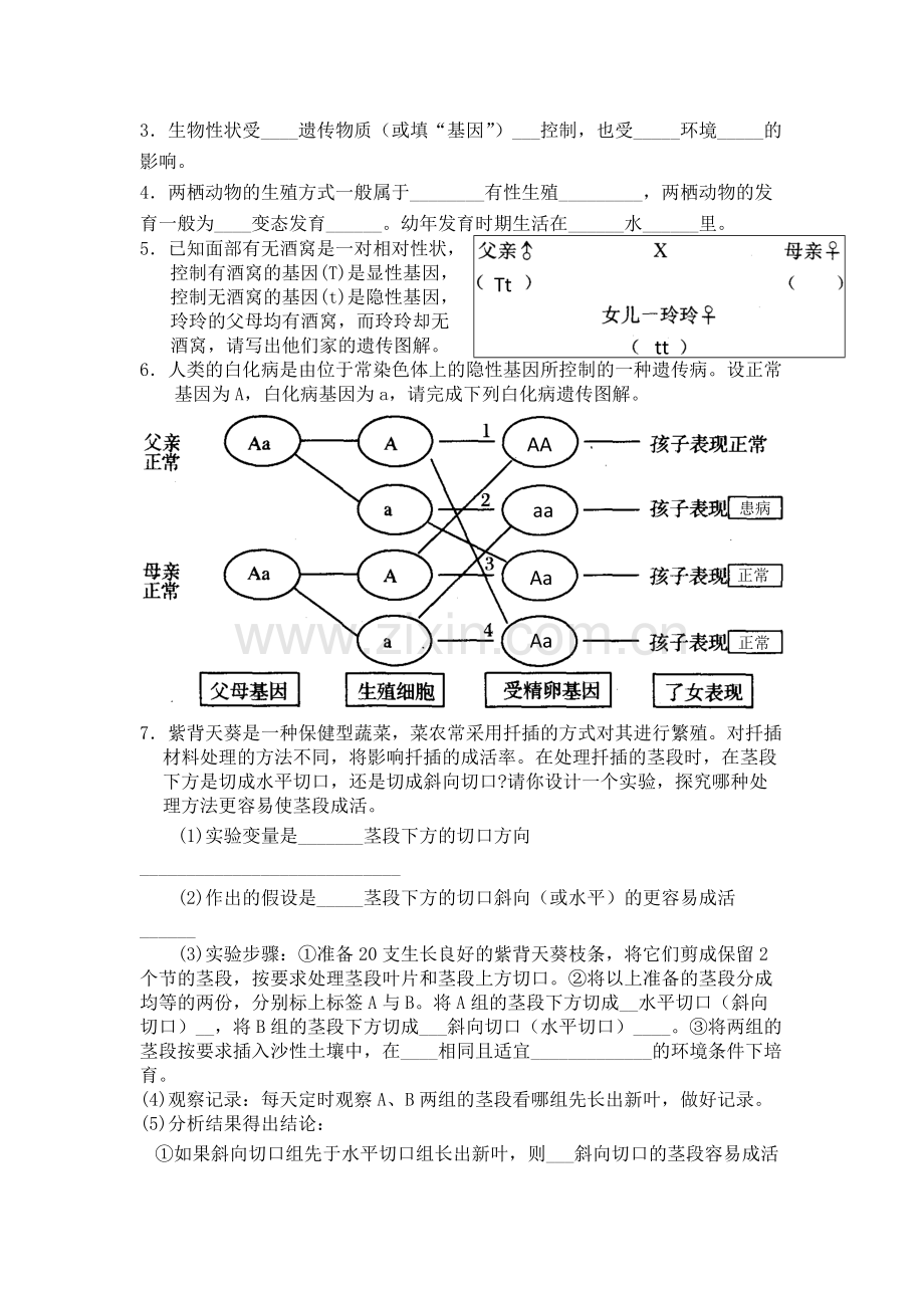 人教版八年级生物下册期中试卷含答案.pdf_第3页