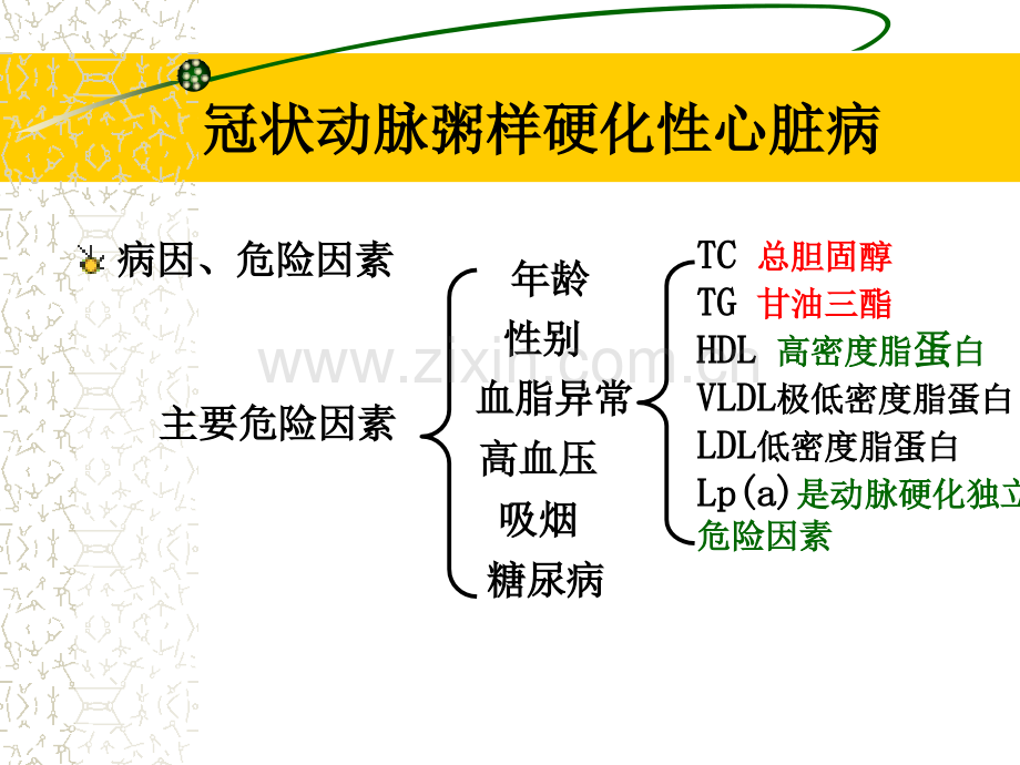 13冠心病医学PPT课件.ppt_第2页