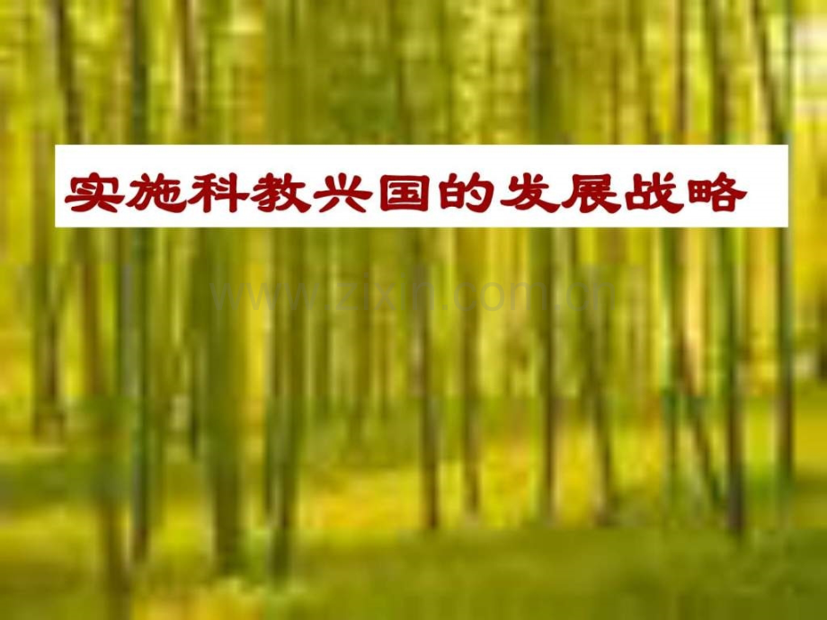 实施科教兴国发展战略.ppt_第1页