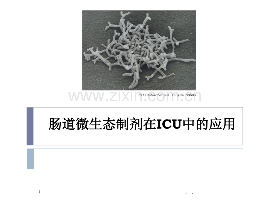 肠道微生态制剂在ICU中的应用.ppt_第1页