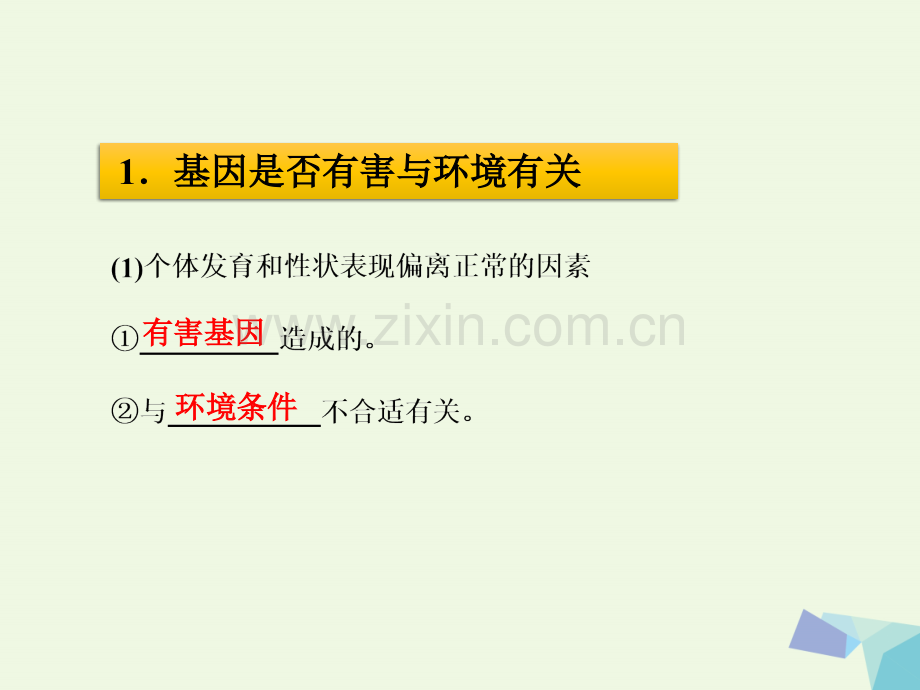 高中生物-第六章-遗传与人类健康-6.4-遗传病与人类未来教学-浙科版必修2.ppt_第3页