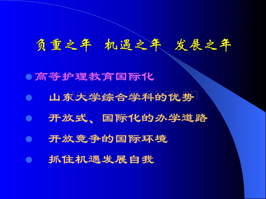 护理本科教育国际化培养模式探索.ppt_第2页