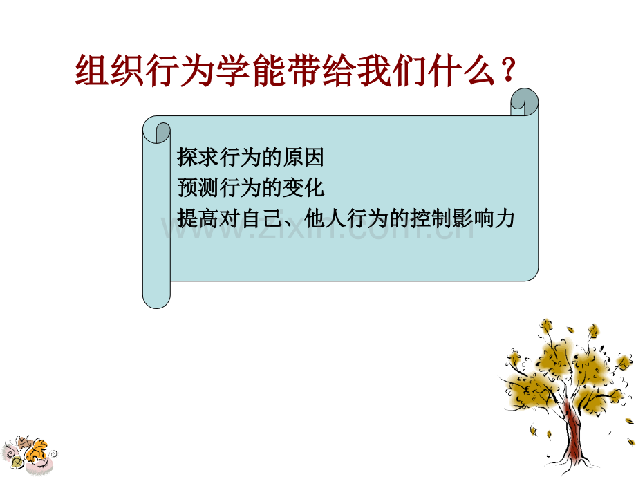 第一讲组织行为学概论导论.ppt_第2页