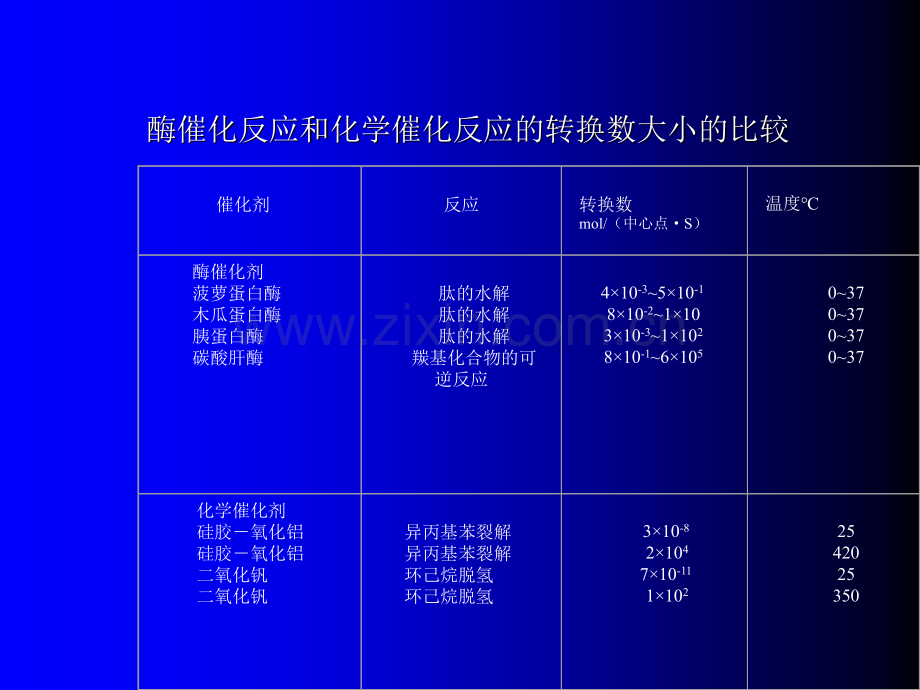 【生物】第四章-酶催化反应动力学.ppt_第3页