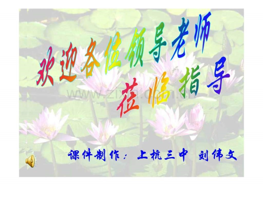 《芦花荡》公开课.ppt_第1页