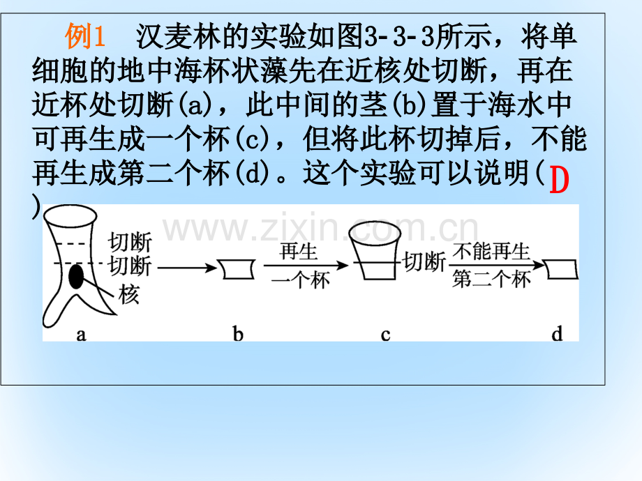 高中生物-第三章-细胞的基本结构-3.3-细胞核-系统控制的中心习题-新人教版必修1.ppt_第3页