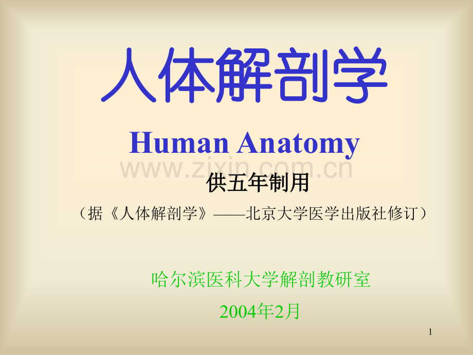 【基础医学】绪论骨学.ppt_第1页