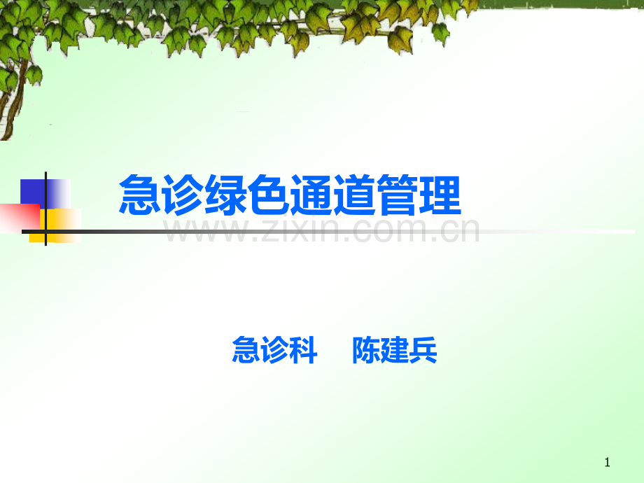 绿色通道管理.ppt_第1页