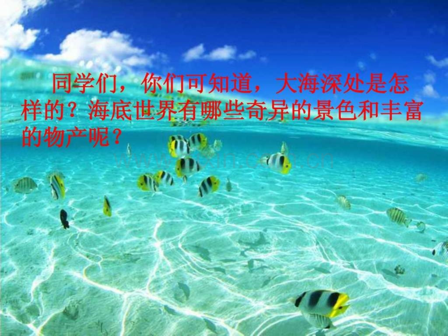 三级语文海底世界.ppt_第2页