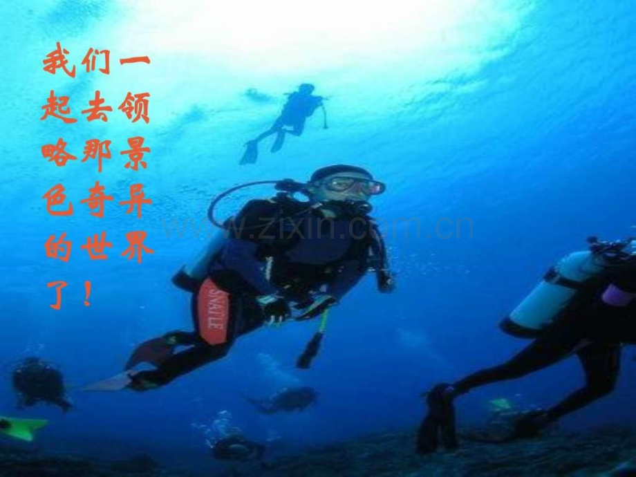 三级语文海底世界.ppt_第3页