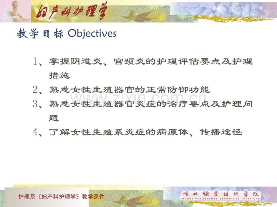 妇产科护理-生殖系统炎症..ppt_第3页