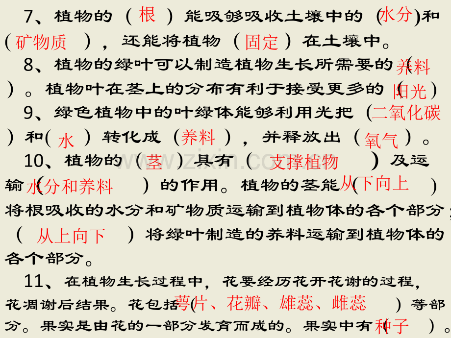 三下科学复习资料.ppt_第2页