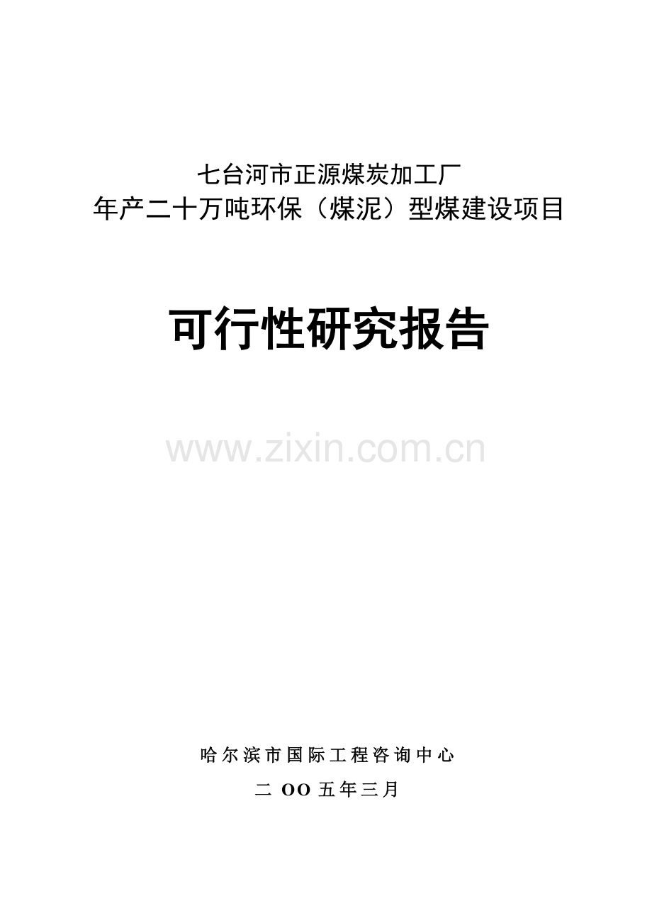 年产二十万吨环保煤泥型煤建设项目申请建设可研报告.doc_第1页