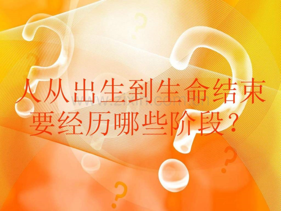 中学生心理健康教育.ppt_第3页